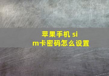 苹果手机 sim卡密码怎么设置